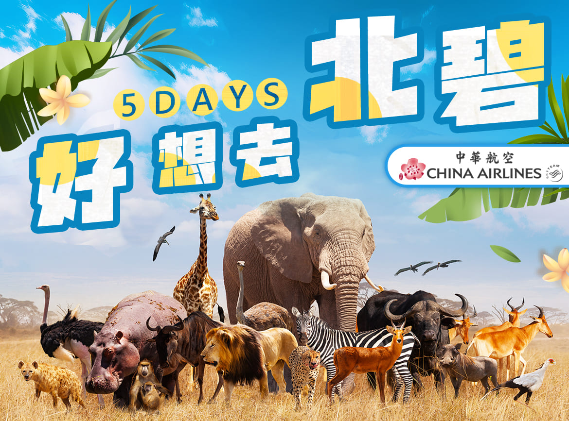 好想去北碧～網美風泰國.最夯動物園.大象洗澡趣5日NO SP