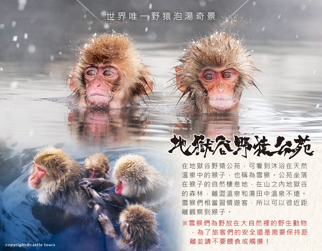 行程特色圖片