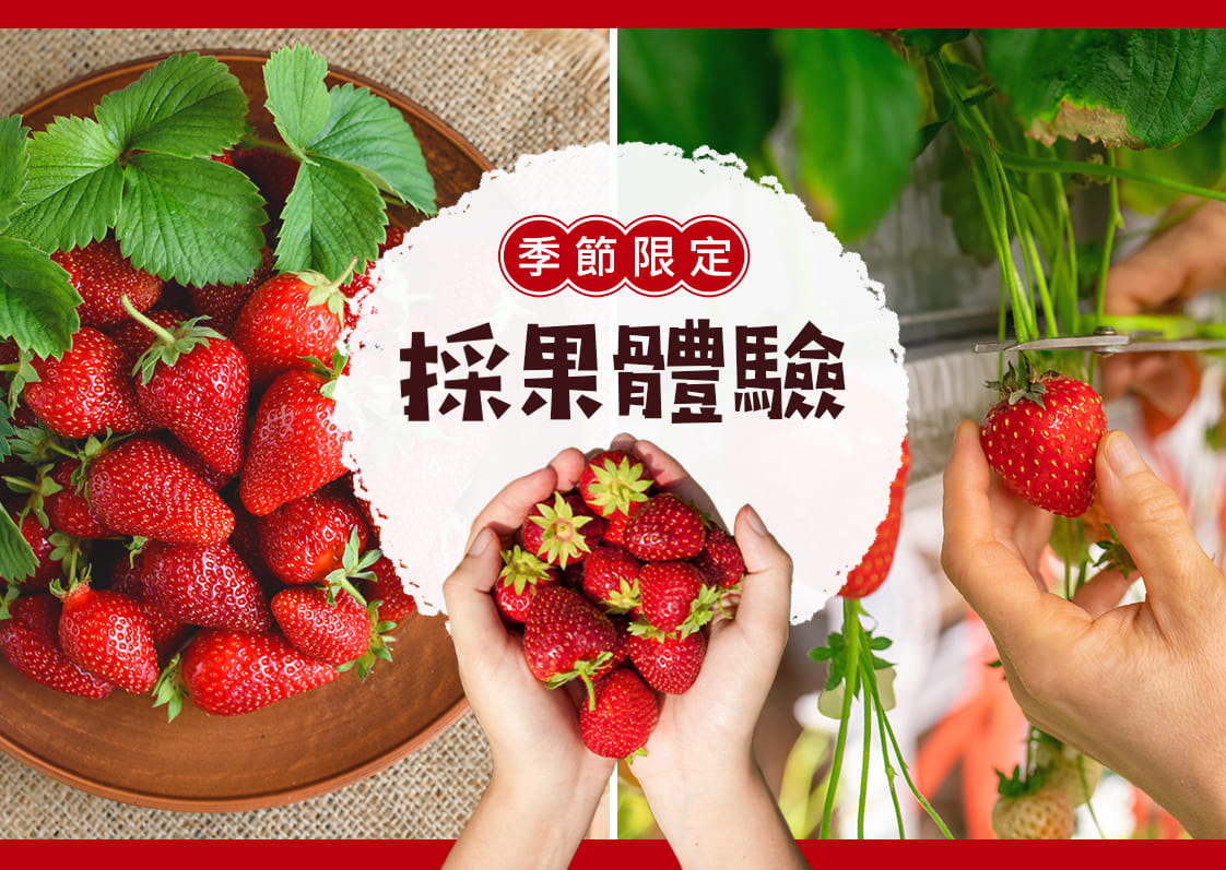 行程特色圖片